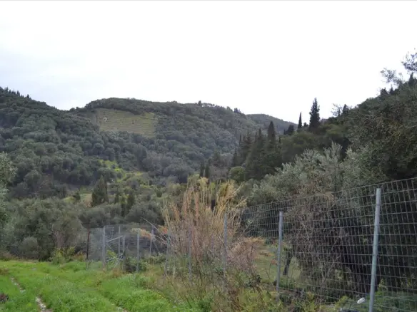 Land In Corfu, Greece