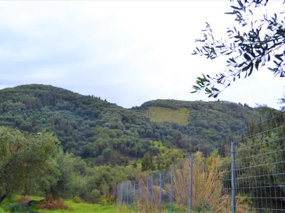 Land In Corfu, Greece