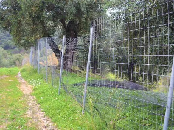 Land In Corfu, Greece