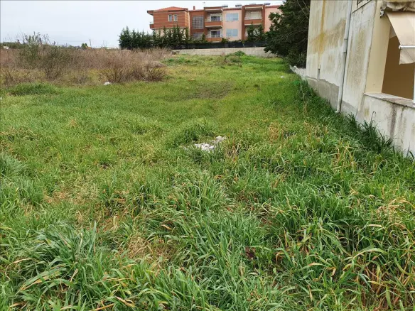 Land In Kassandra, Greece