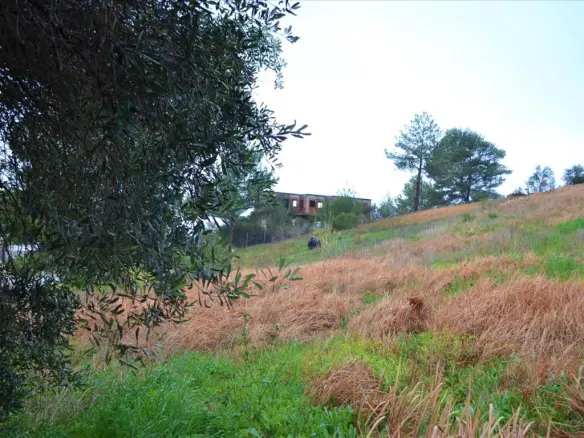 Land In Corfu, Greece