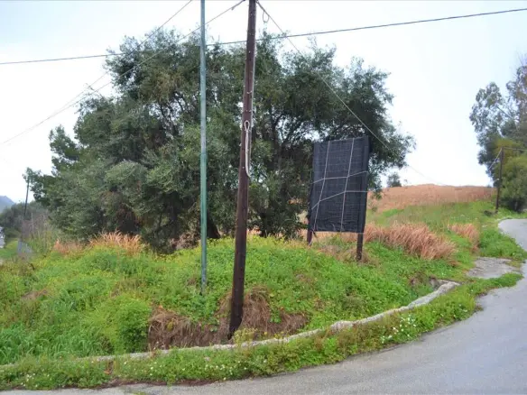 Land In Corfu, Greece