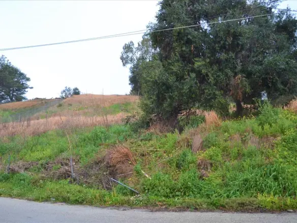 Land In Corfu, Greece