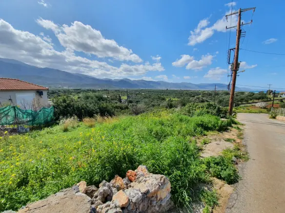 Land In Vrachasi, Greece
