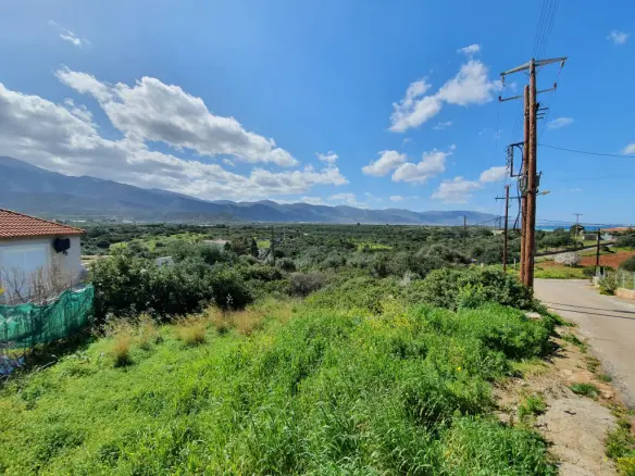 Land In Vrachasi, Greece