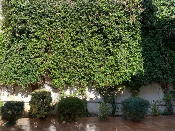 2-bedroom Villa In Sikamino, Greece (298 M²)