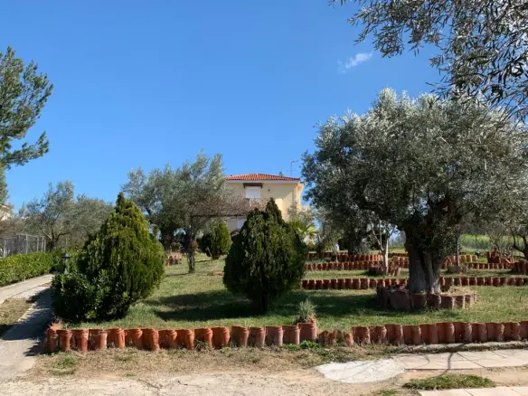 Detached House In Oropos, Greece (540 M²)