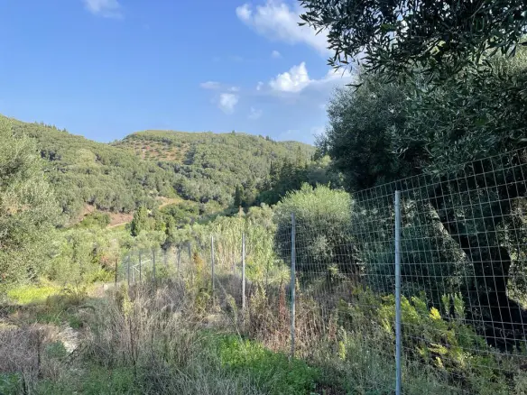 Land In Corfu, Greece