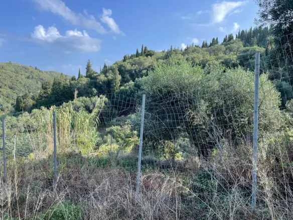 Land In Corfu, Greece