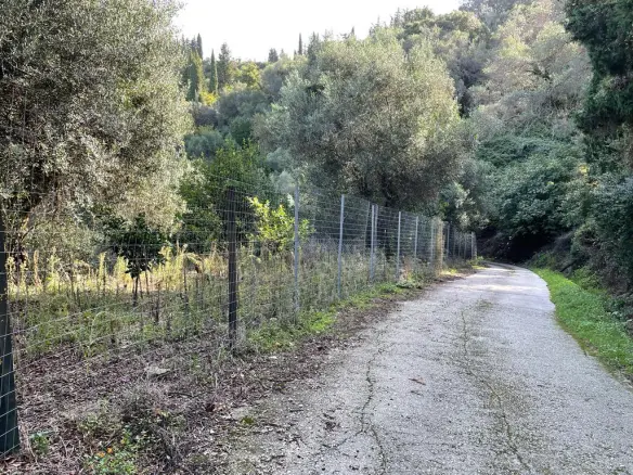 Land In Corfu, Greece