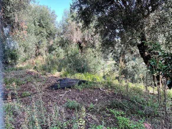 Land In Corfu, Greece