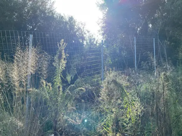 Land In Corfu, Greece
