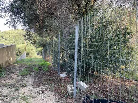 Land In Corfu, Greece