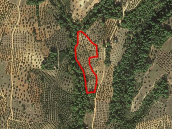 Land In Sithonia, Greece