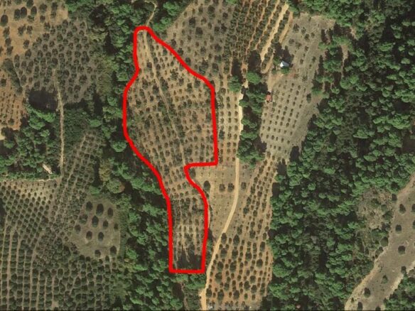 Land In Sithonia, Greece