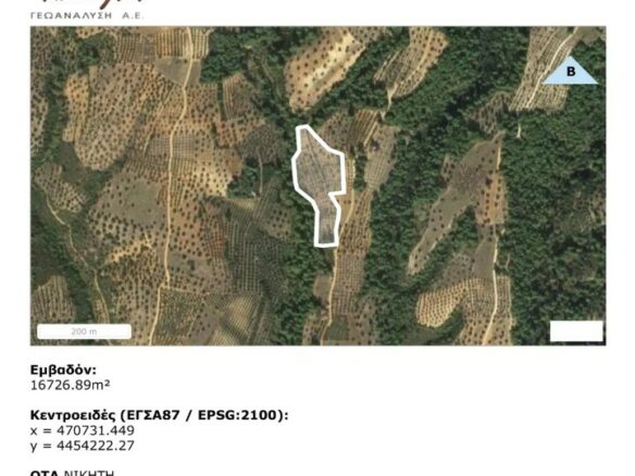 Land In Sithonia, Greece