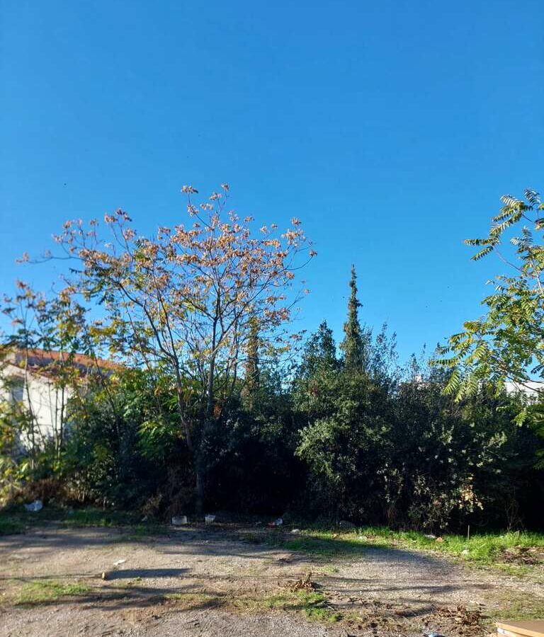 1056 M² Plot Available In Thessaloniki