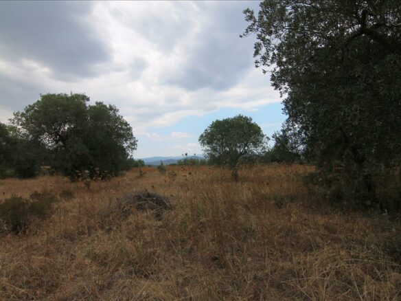 Land Plot 4600 M² Located In Sithonia, Chalkidiki Region