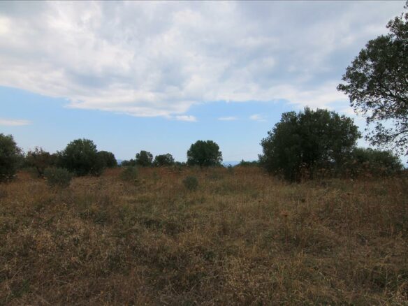 Land Plot 4600 M² Located In Sithonia, Chalkidiki Region