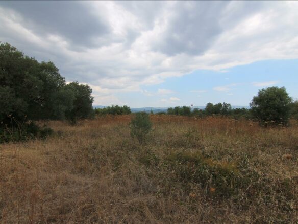 Land Plot 4600 M² Located In Sithonia, Chalkidiki Region
