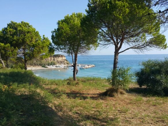Land Plot Of 24000 M² Available In Zante Region