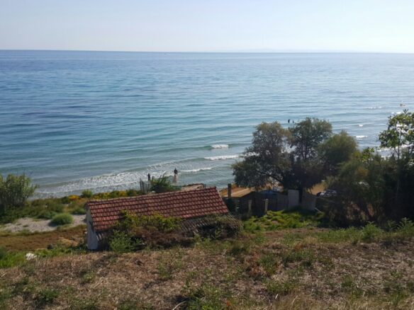 Land Plot Of 24000 M² Available In Zante Region
