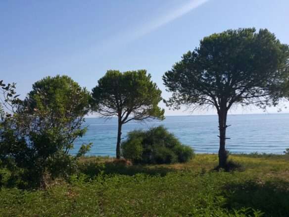 Land Plot Of 24000 M² Available In Zante Region