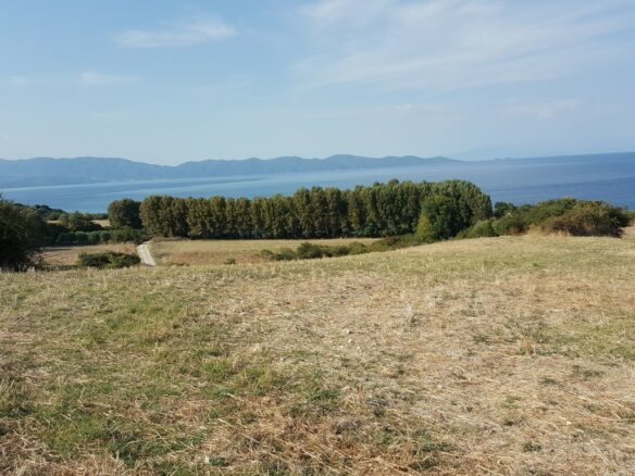 Land Plot Of 7000 M² Available In Athos, Chalkidiki