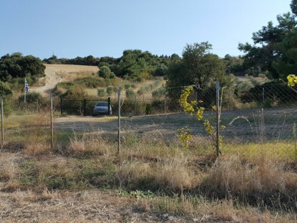 Land Plot Of 7000 M² Available In Athos, Chalkidiki