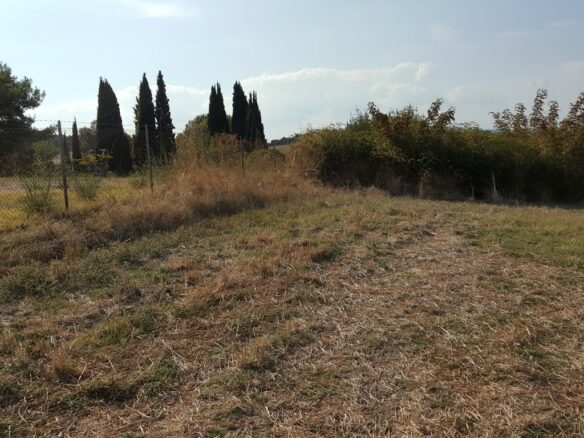 Land Plot Of 7000 M² Available In Athos, Chalkidiki