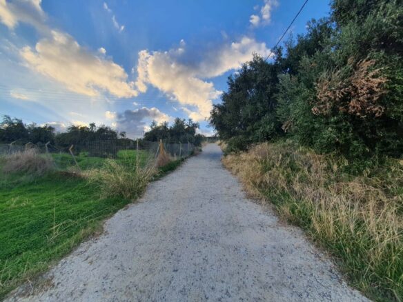 Land Plot Of 2225 M² Available In Crete Region