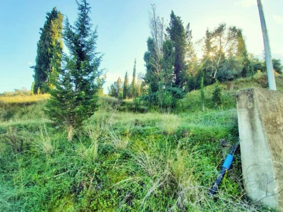 Land Parcel 5500 M² Available In Corfu Location