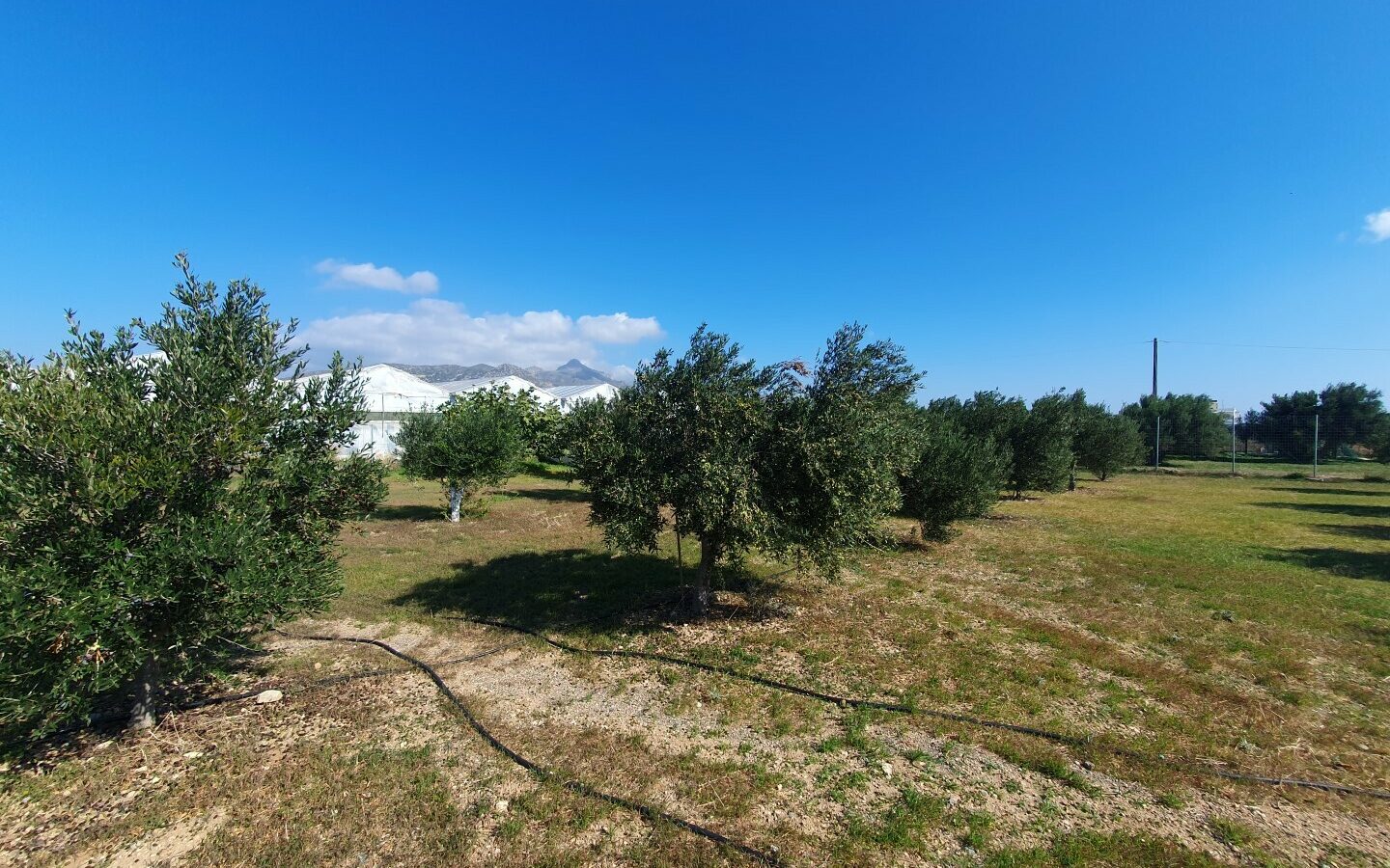 Business Opportunity 335 M² Space Available In Crete