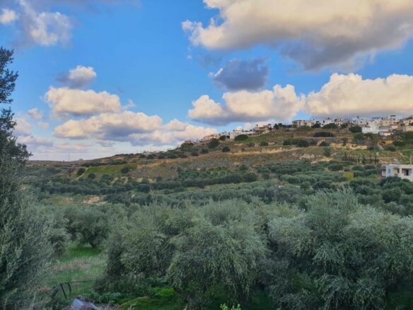 Land Plot Of 2225 M² Available In Crete Region