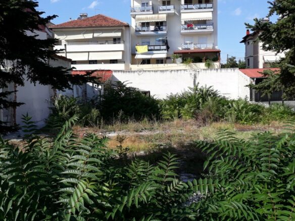 Land In Katerini, Greece