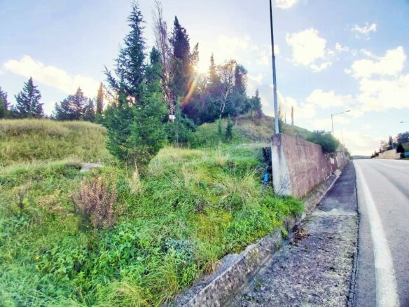 Land Parcel 5500 M² Available In Corfu Location
