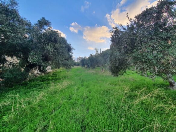 Land Plot Of 2225 M² Available In Crete Region