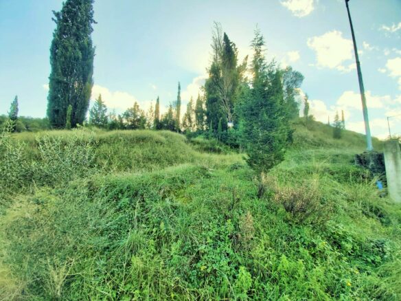 Land Parcel 5500 M² Available In Corfu Location