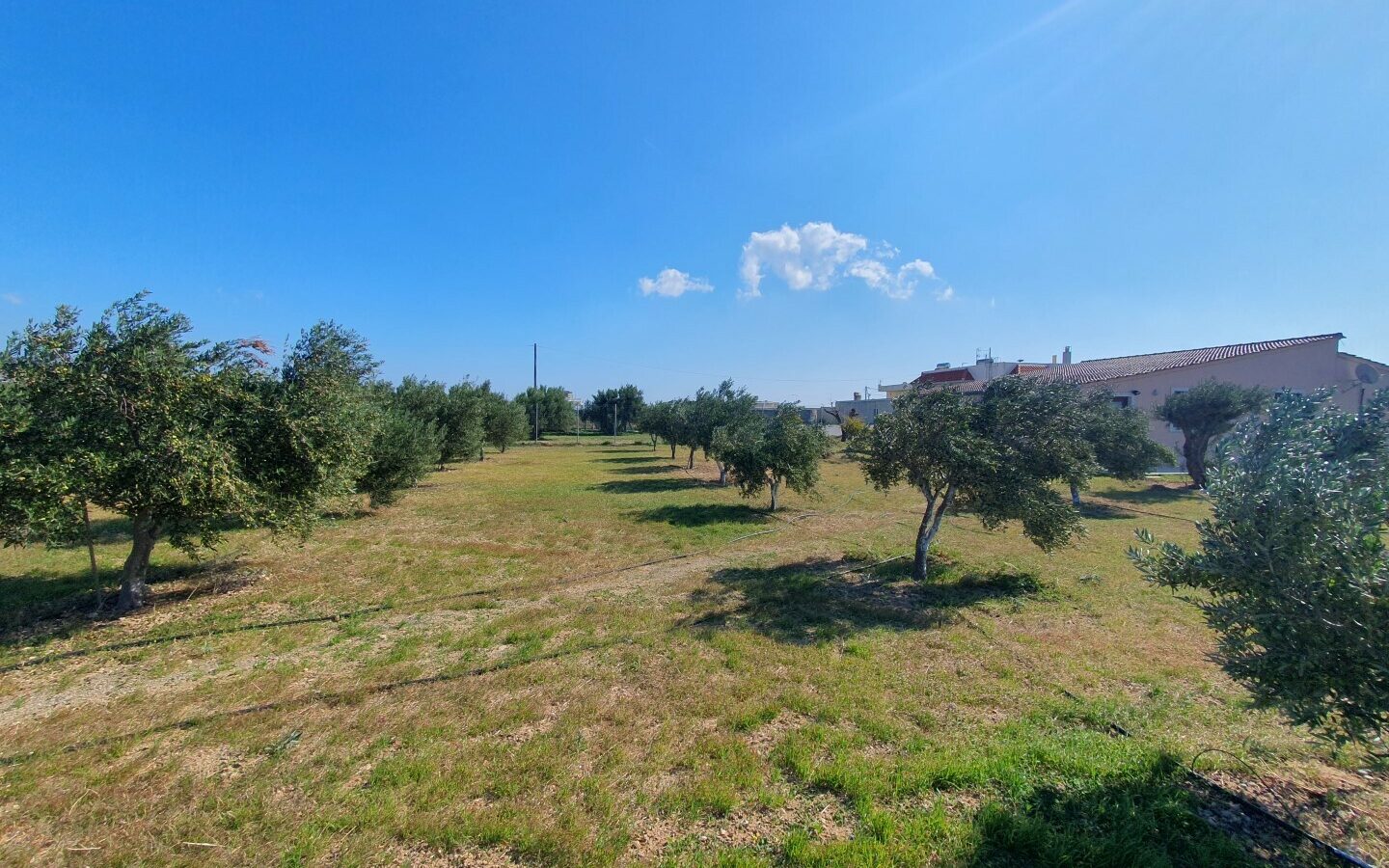 Business Opportunity 335 M² Space Available In Crete