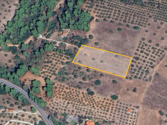 Land In Sithonia, Greece