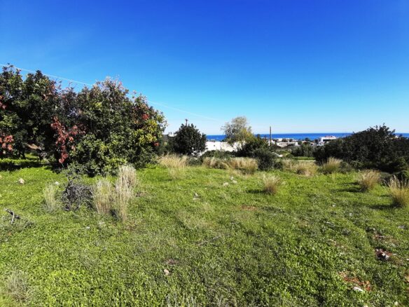 Land In Mallia, Greece