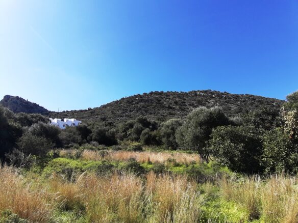 Land In Mallia, Greece