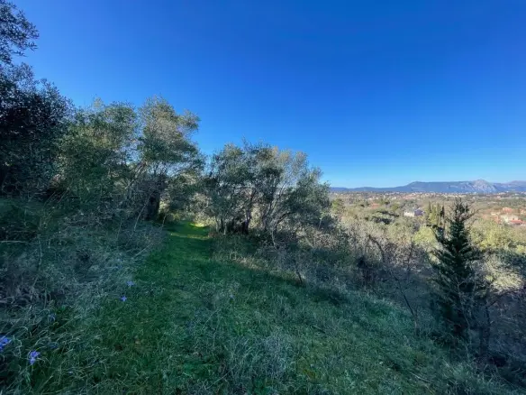 Land In Corfu, Greece