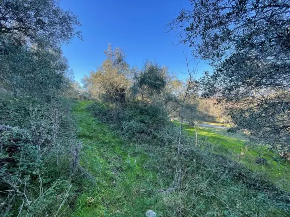 Land In Corfu, Greece