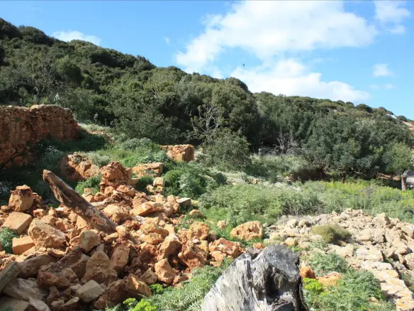 Land In Kolimvari, Greece