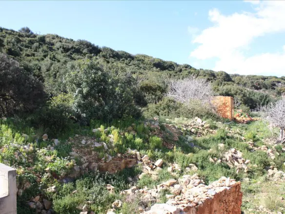 Land In Kolimvari, Greece