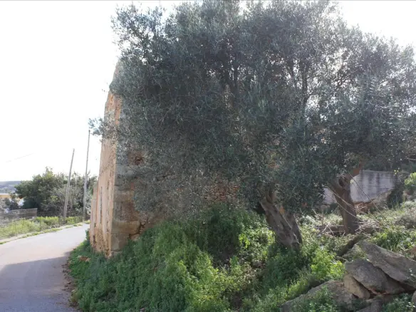 Land In Kolimvari, Greece