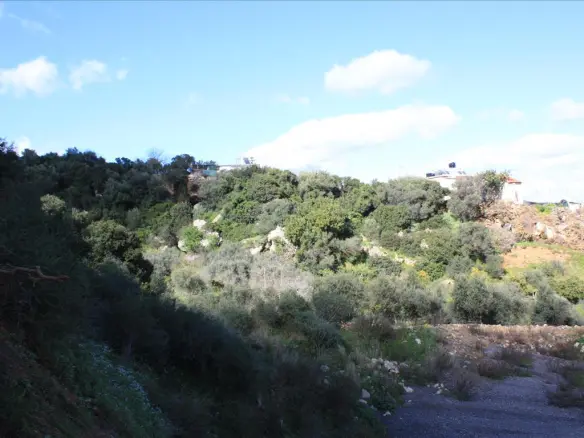 Land In Kolimvari, Greece