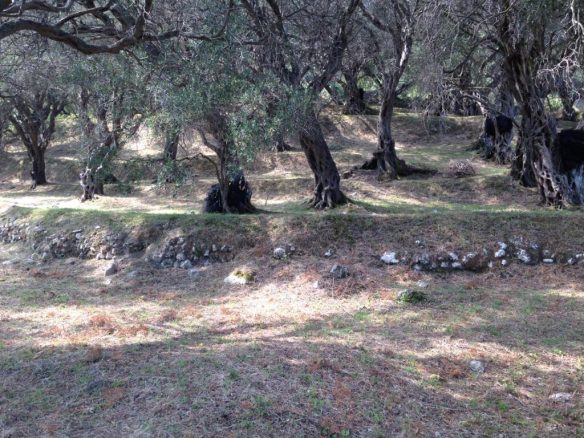 Land In Corfu, Greece