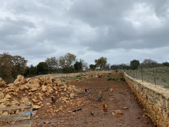 Land In Vamos, Greece